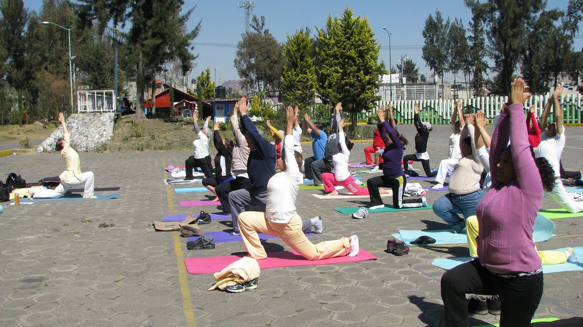 8 February in Bosque de Tlahuac (The Forest of Tlahuac), a park in the south-eastern part of the city 1200