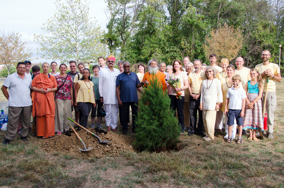 Alexandria Peace Tree