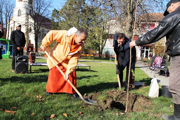 04 Tree planting Kopie